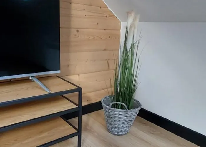 Trzy Kopce & Bike & Sauna Appartement Ustroń